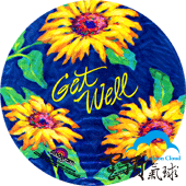 7"/18cm  ᦷget well y
