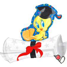 33�T �Z�̽����~�Ү� ��y